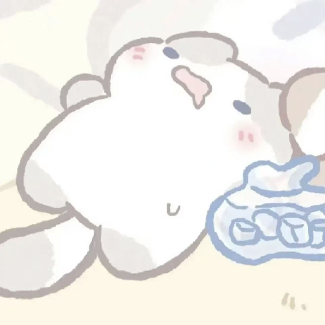 小宝